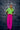 Neon Green Top + Magenta Pants Outfit Set